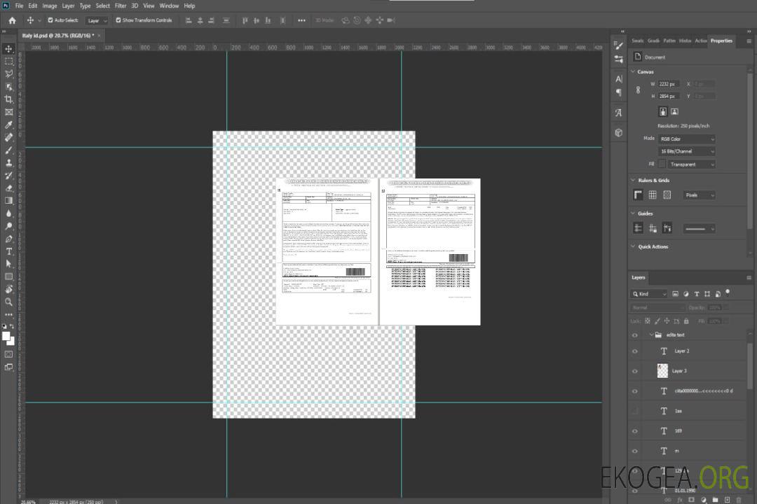 USA Form I-797B, modèle d'avis d'action au format Word et PDF (2 pages) template
